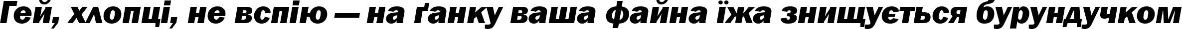 Пример написания шрифтом Franklin Gothic Heavy Italic текста на украинском Пример написания шрифтом Franklin Gothic Heavy Italic текста на украинском