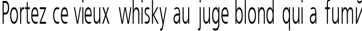 Пример написания шрифтом FreeSet_50n текста на французском