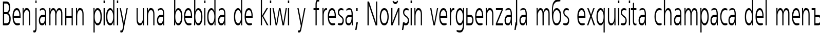 Пример написания шрифтом FreeSet_55n текста на испанском
