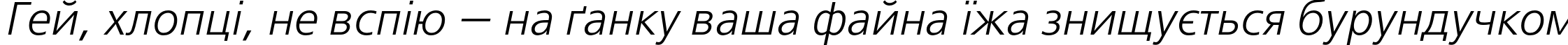 Пример написания шрифтом FreeSetC Italic текста на украинском