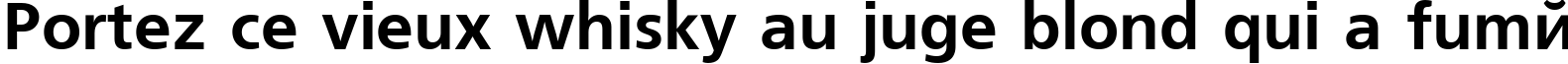 Пример написания шрифтом FreeSetCTT Bold текста на французском