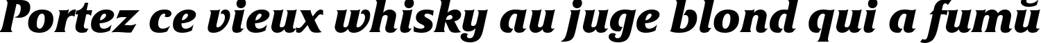 Пример написания шрифтом FrizQuadrataCTT BoldItalic текста на французском