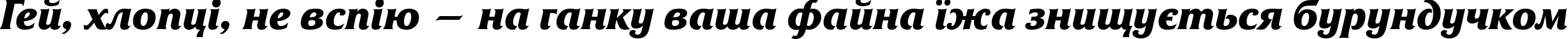 Пример написания шрифтом FrizQuadrataCTT BoldItalic текста на украинском