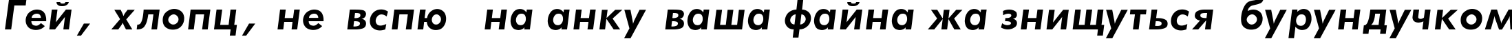 Пример написания шрифтом Futura_Book-Bold-Italic текста на украинском