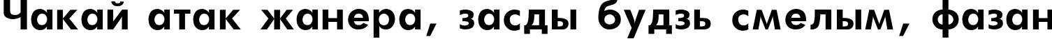 Пример написания шрифтом Futura_Book-Bold текста на белорусском
