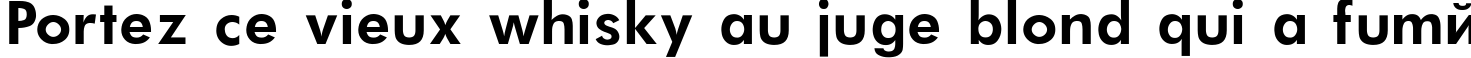 Пример написания шрифтом Futura_Book-Bold текста на французском