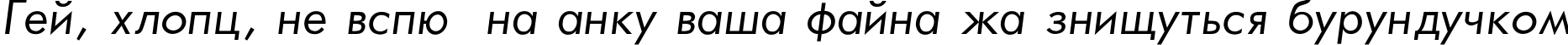 Пример написания шрифтом Futura_Book-Normal-Italic текста на украинском