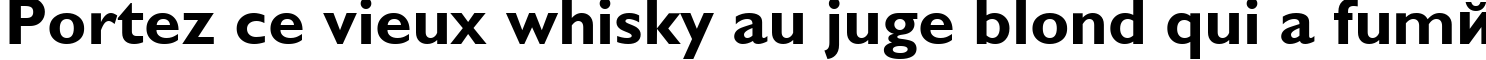 Пример написания шрифтом Gals Bold текста на французском