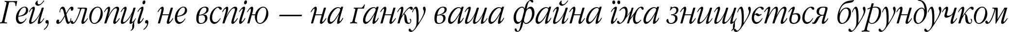 Пример написания шрифтом GaramondNarrowC Italic текста на украинском