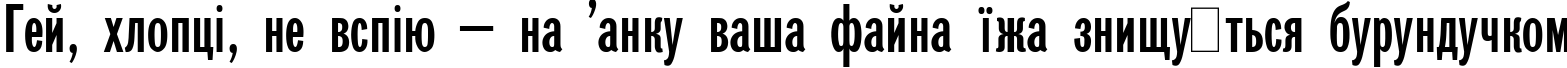 Пример написания шрифтом Gazeta SansSerif Plain:001.001 текста на украинском