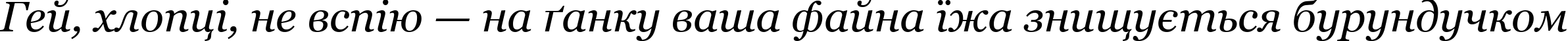 Пример написания шрифтом Georgia Italic текста на украинском