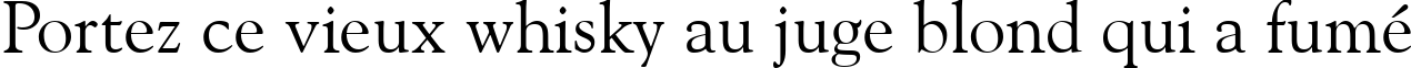Пример написания шрифтом Goudy Old Style BT текста на французском