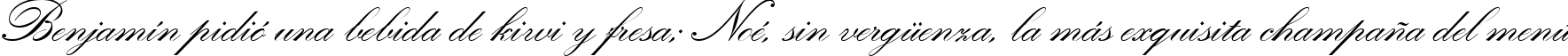 Пример написания шрифтом Heather Script Two текста на испанском