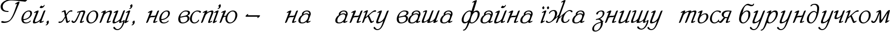 Пример написания шрифтом HeinrichScript текста на украинском