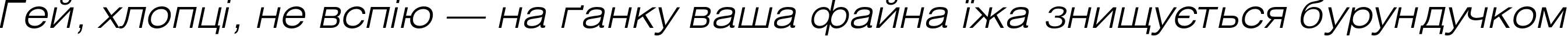Пример написания шрифтом HeliosExtLight Italic текста на украинском