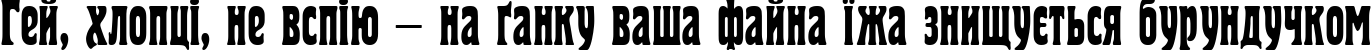 Пример написания шрифтом PT Herold Condensed Cyrillic текста на украинском