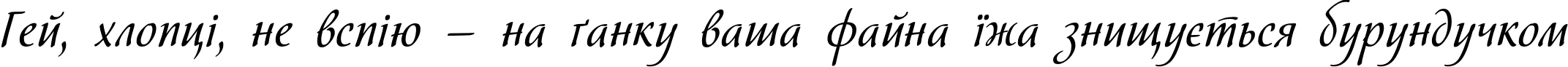 Пример написания шрифтом Hortensia текста на украинском