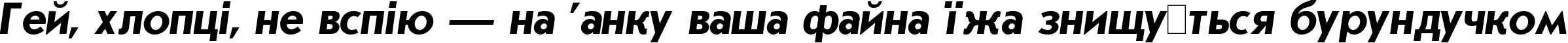 Пример написания шрифтом Journal SansSerif Bold Italic:001.001 текста на украинском