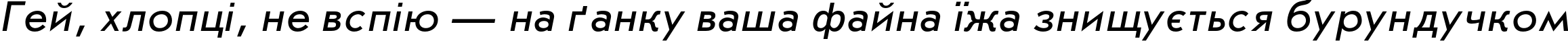 Пример написания шрифтом JournalSansC Italic текста на украинском