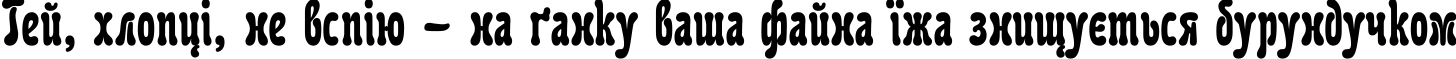 Пример написания шрифтом KarollaCTT текста на украинском