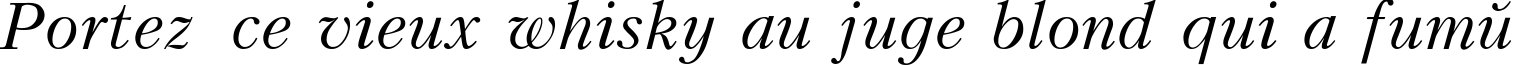 Пример написания шрифтом Kudriashov Italic текста на французском
