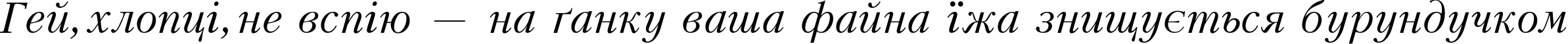 Пример написания шрифтом Kudriashov Italic текста на украинском