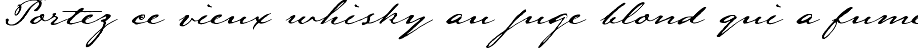 Пример написания шрифтом LamarPen текста на французском