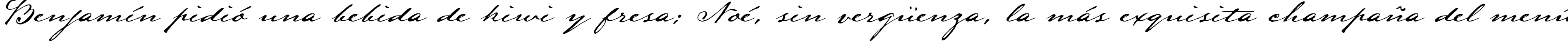 Пример написания шрифтом LamarPen текста на испанском