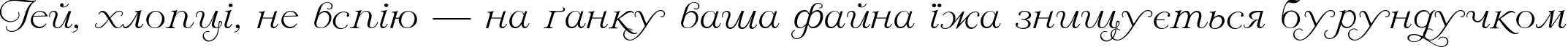Пример написания шрифтом Larisa script текста на украинском