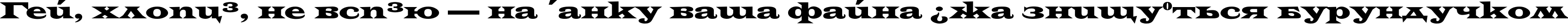 Пример написания шрифтом LatinWideHvTYGRA текста на украинском