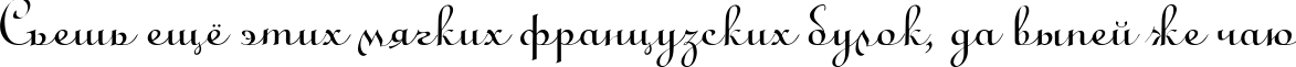 Пример написания шрифтом LirussTYGRA текста на русском