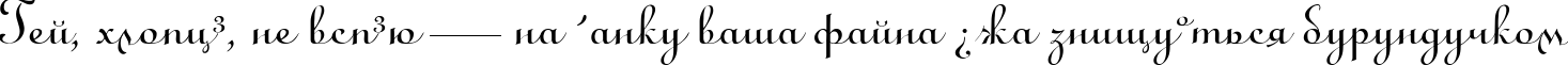 Пример написания шрифтом LirussTYGRA текста на украинском