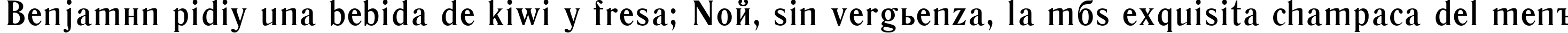 Пример написания шрифтом Literaturnaya Bold:001.00190b текста на испанском