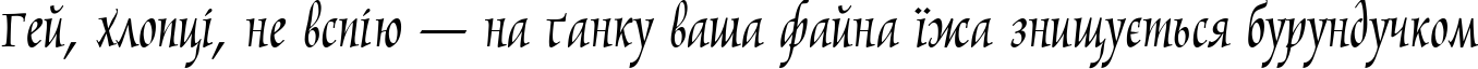 Пример написания шрифтом Marigold текста на украинском