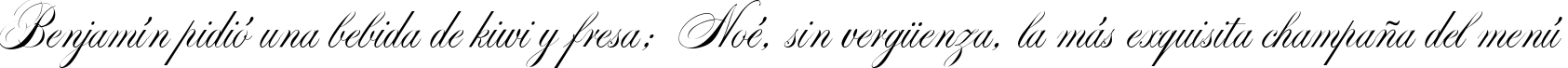 Пример написания шрифтом Markiz de Sad script текста на испанском