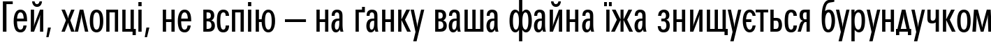 Пример написания шрифтом MaximaCyrTCYLigCom текста на украинском