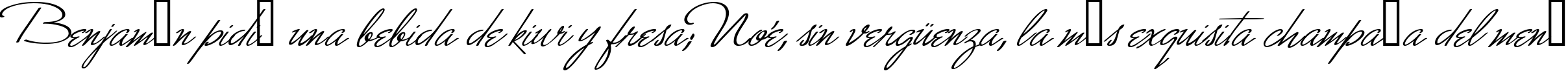Пример написания шрифтом Monika Italic текста на испанском