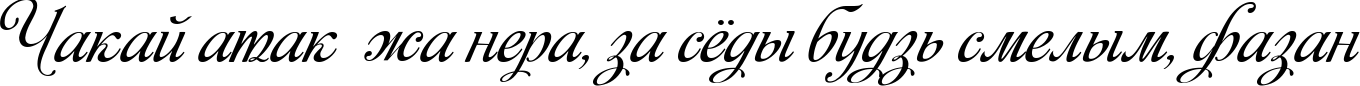 Пример написания шрифтом Monplesir script текста на белорусском