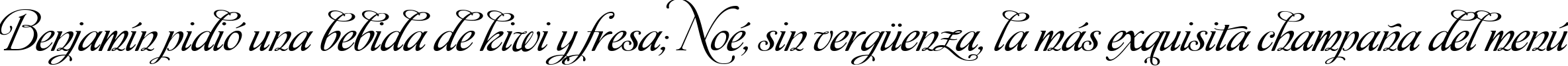 Пример написания шрифтом Monplesir script текста на испанском