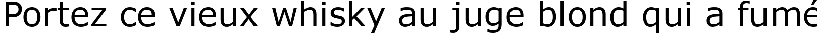 Пример написания шрифтом MS Reference Sans Serif текста на французском
