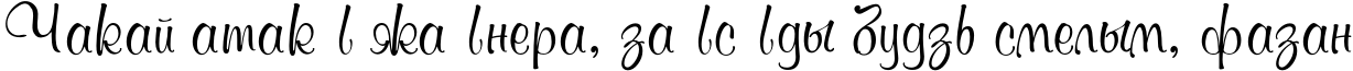 Пример написания шрифтом MurreyTYGRA текста на белорусском