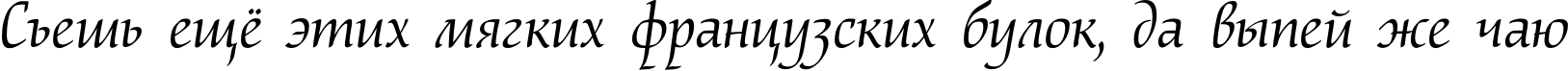 Пример написания шрифтом NataliScript текста на русском