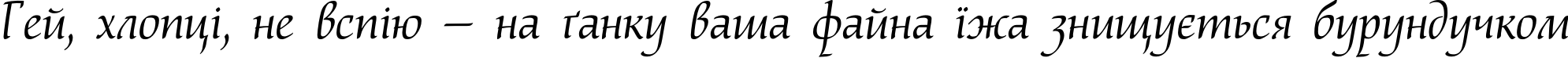 Пример написания шрифтом NataliScript текста на украинском