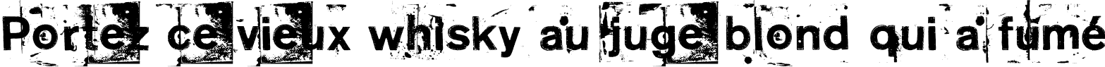 Пример написания шрифтом NeoPrint M319 текста на французском