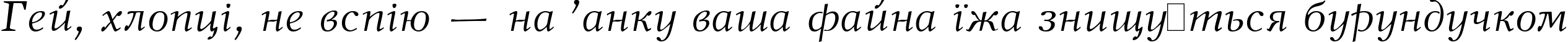 Пример написания шрифтом New Journal Italic:001.001 текста на украинском