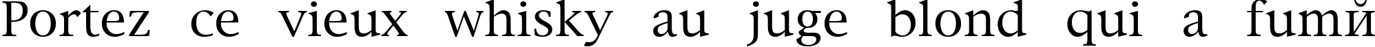 Пример написания шрифтом New York Plain:001.003 текста на французском