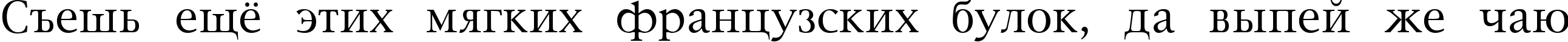 Пример написания шрифтом New York Plain:001.003 текста на русском