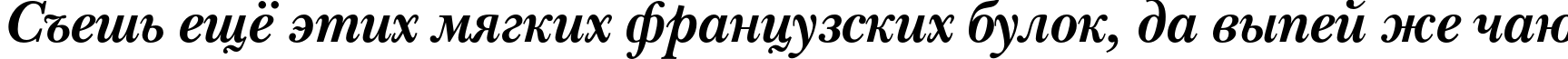 Пример написания шрифтом NewBaskervilleC Bold Italic текста на русском