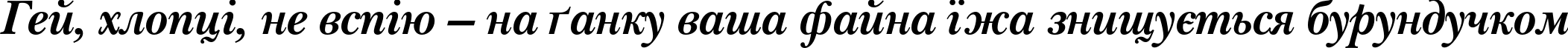 Пример написания шрифтом NewBaskervilleC Bold Italic текста на украинском