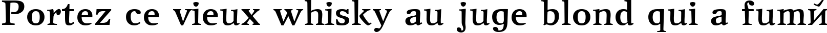 Пример написания шрифтом NewJournalCTT Bold текста на французском